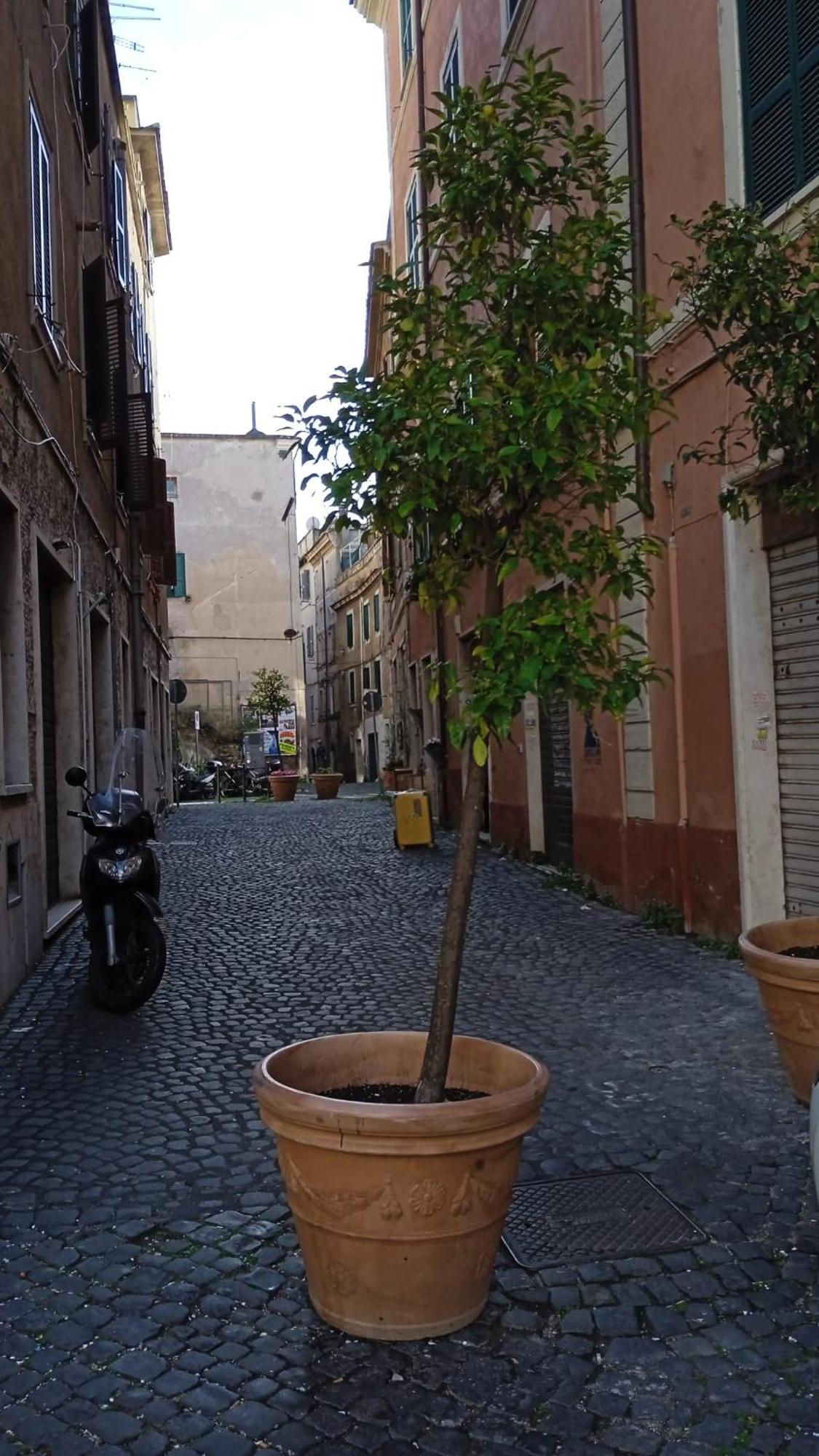 La Casa Sui Tetti Tivoli Exterior foto
